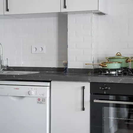 4b2 Brand New Flat With Air Conditioning In Center اسطنبول